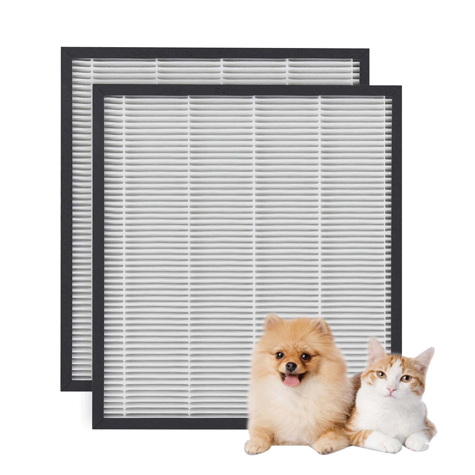 Pet Filter Bundle (1 year supply) : ND-A0609FG (NDFS-N12MUS)