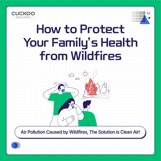 Air Pollution Caused by Wildfires, The Solution is Clean Air!