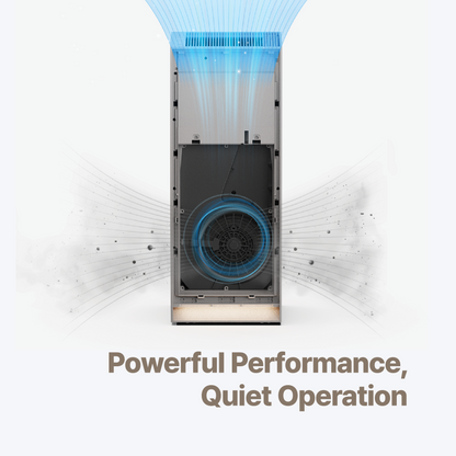 Inspure Heritage Air Purifier