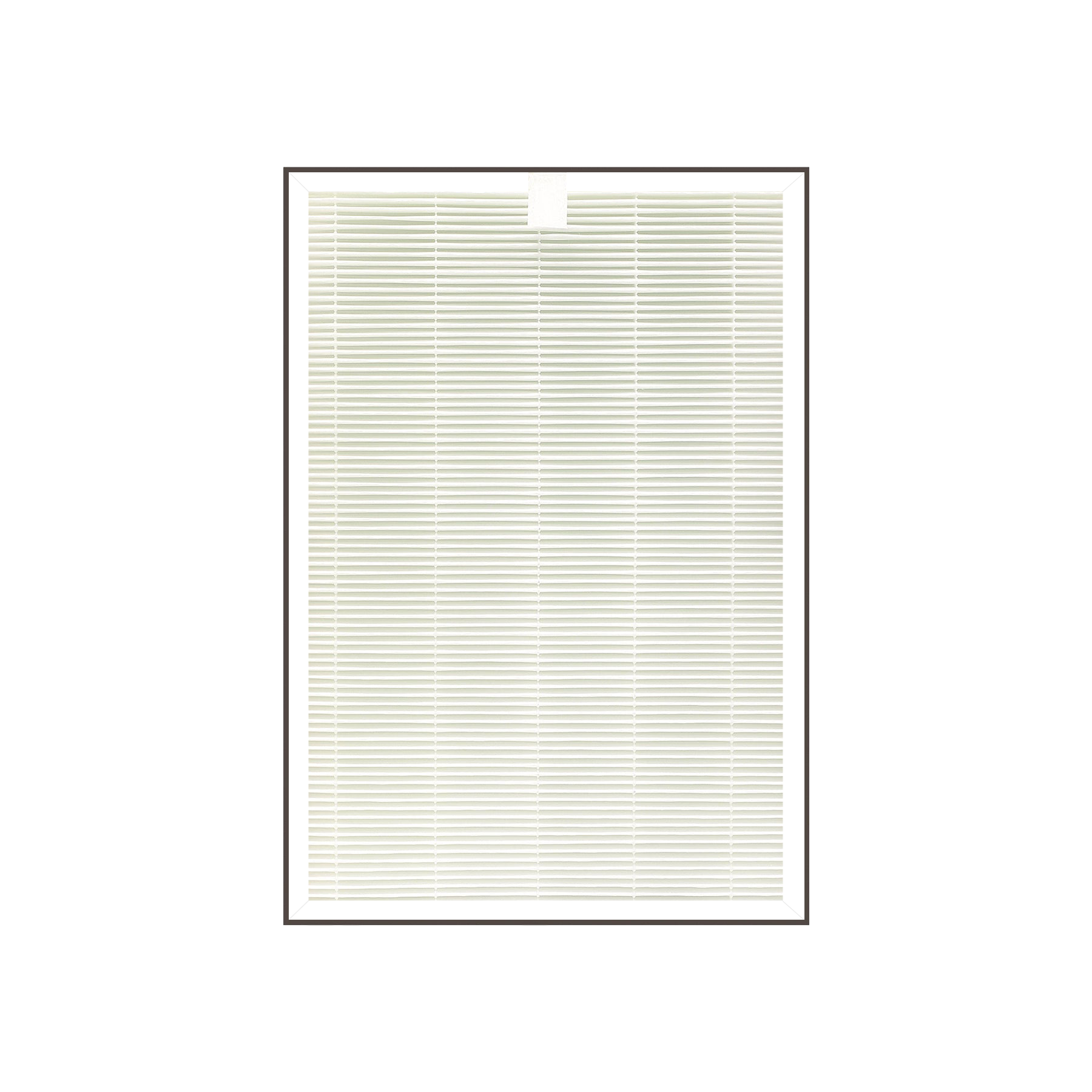 True HEPA H13 Filter : CAC-AA0910FW (CACF-AAF/US)