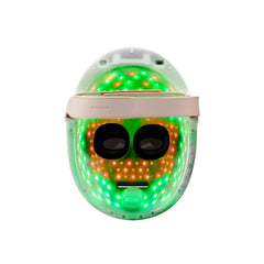 Premium LED Face Mask